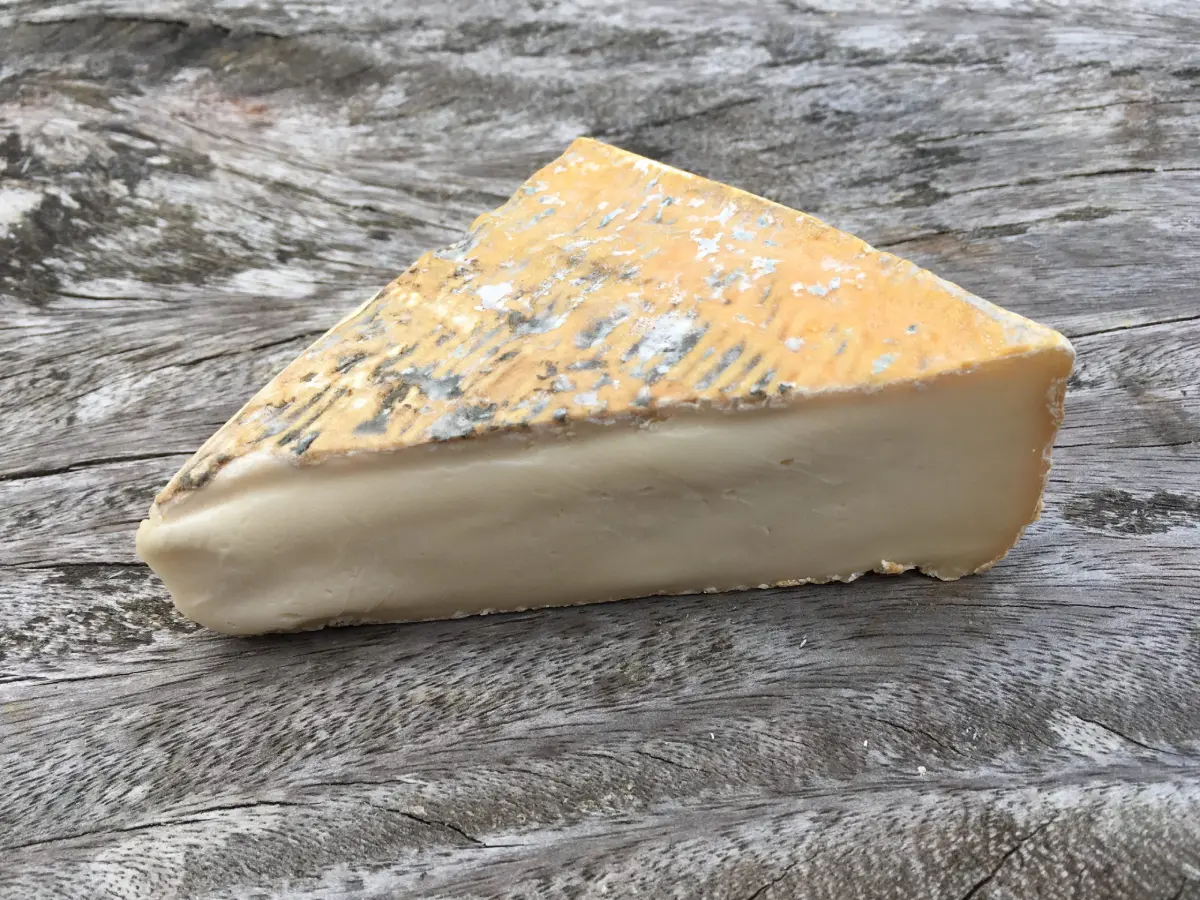 O Incursiune Dincolo de Familiar